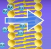  Osmosis Interactive and Video