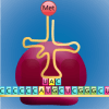 Protein Synthesis Escape Room Image and Link