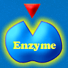 enzymatic thumb