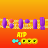 Respiration Interactive Thumbnail